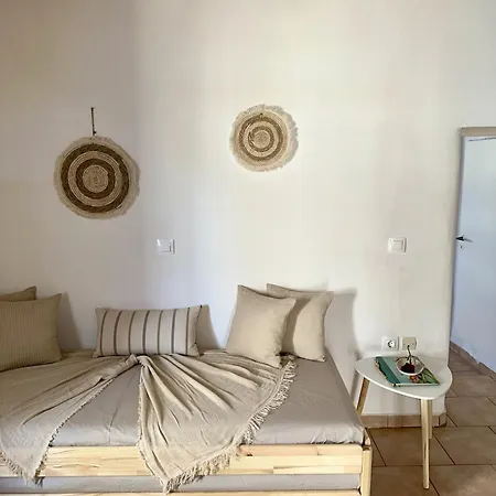 Nesa Paros *